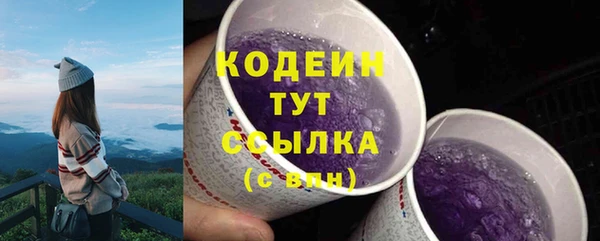 прущий лед Вязьма